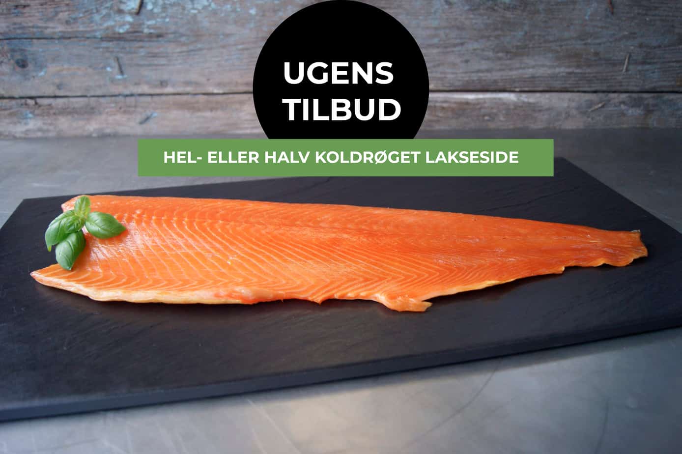 thorupstrand-nyhedsbrev-uge9