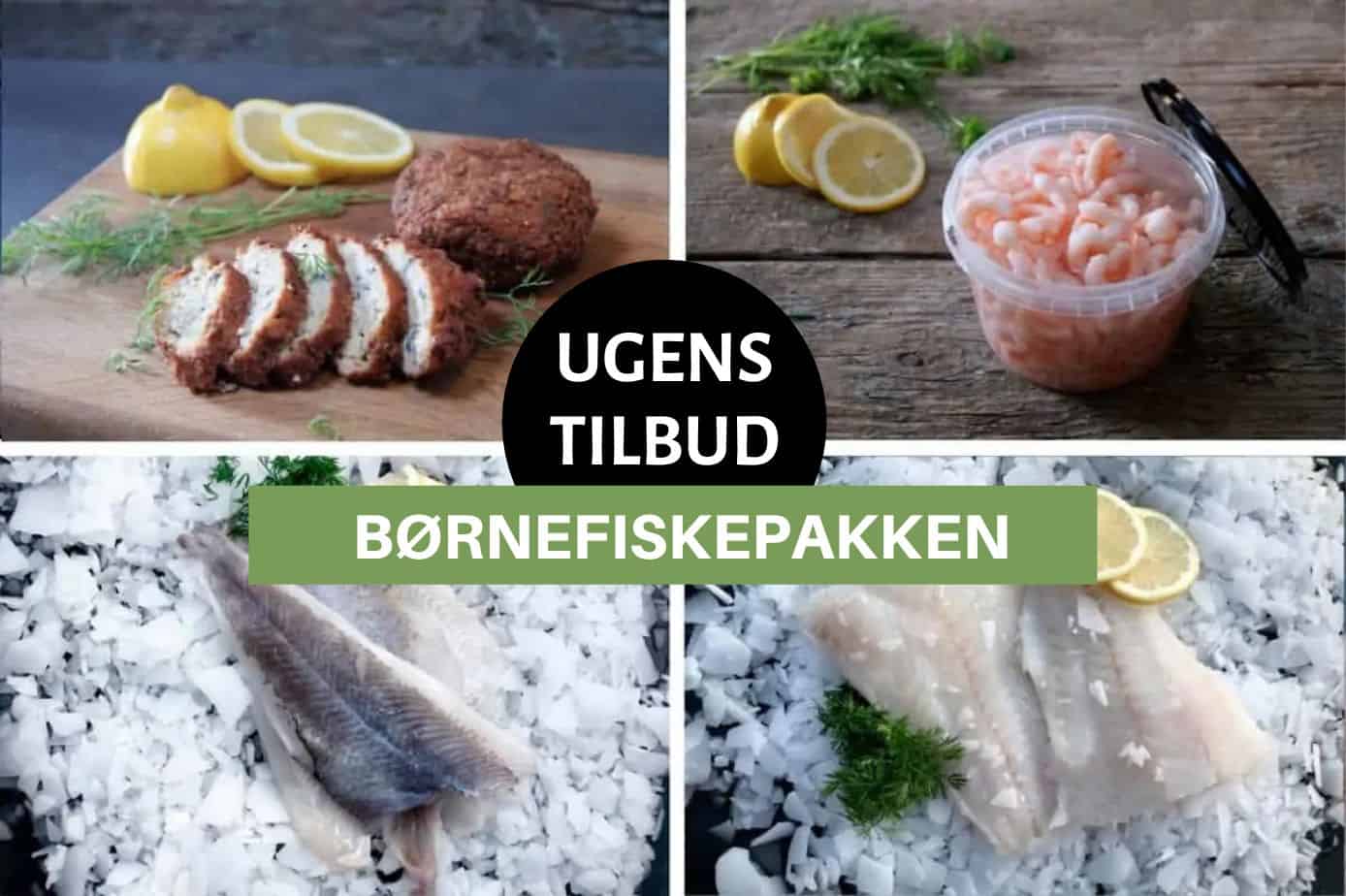 BØRNEFISKEPAKKE
