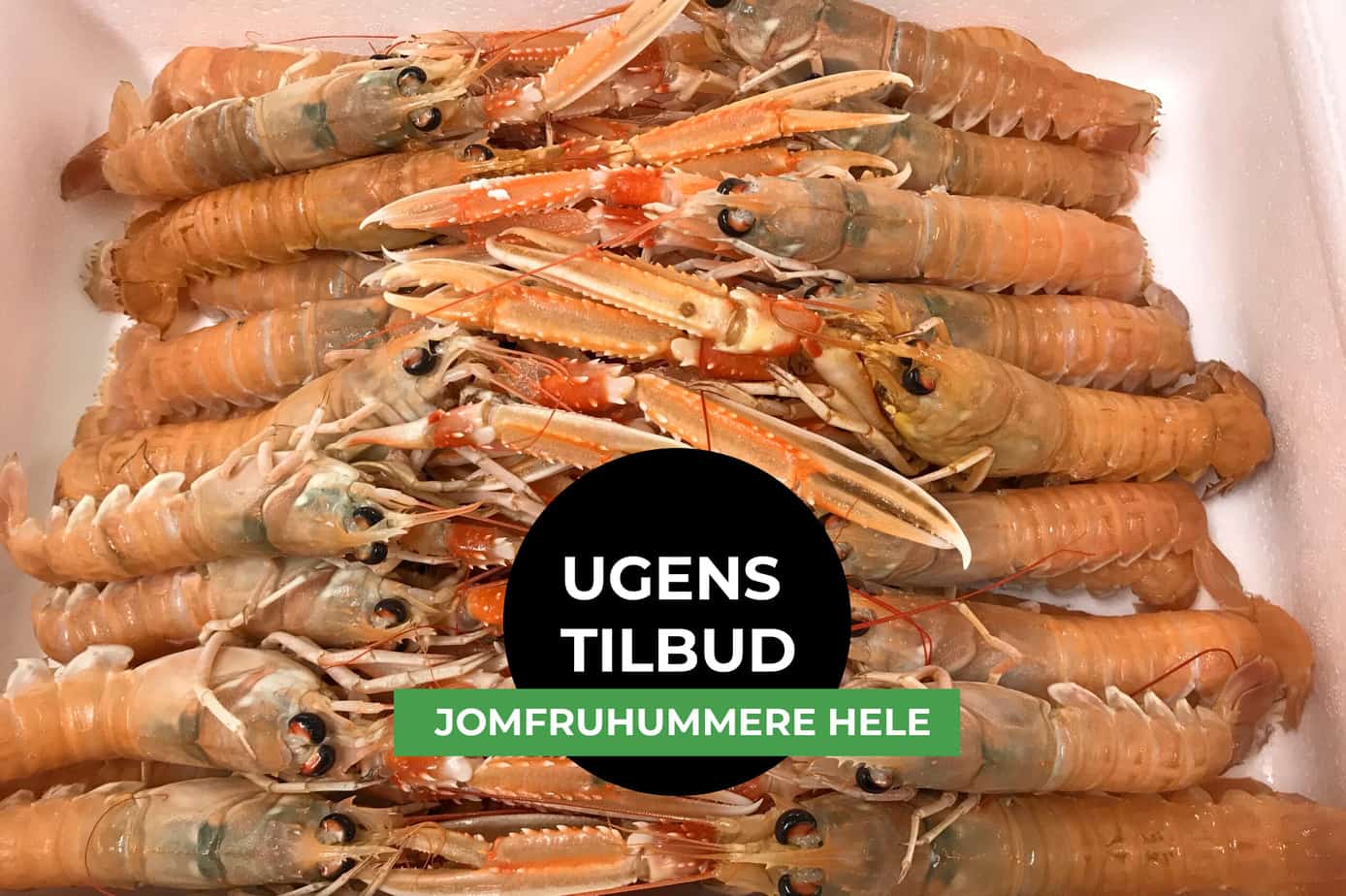 ugens tilbud